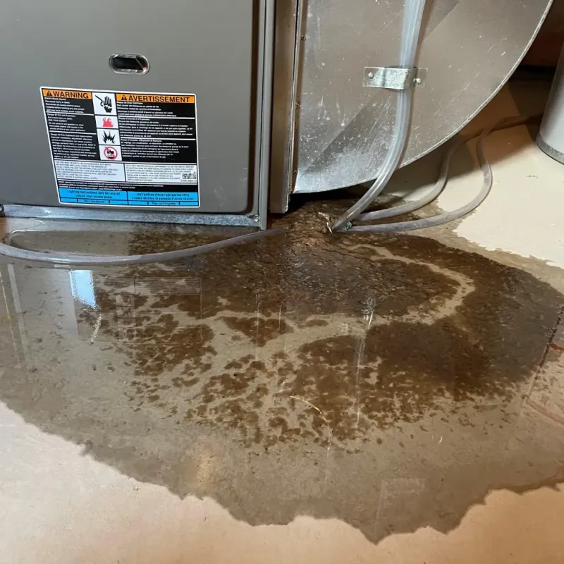 Appliance Leak Cleanup in Greenfield, IN